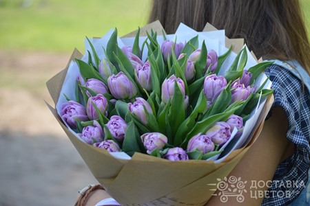 Сиреневые тюльпаны купить свежие цветы в москве недорого